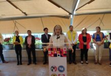 LUZ FIGUEROA SE UNE AL PROYECTO DE CAMBIO DE LUCY MEZA