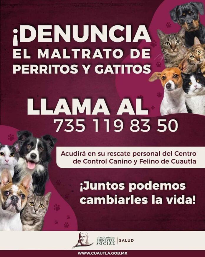 DENUNCIA EL MALTRATO DE GATOS Y PERROS