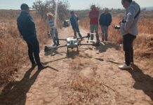 ACCIONES PARA EL CONTROL DE LA PLAGA DE LA LANGOSTA CENTROAMÉRICA