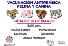 CAMPAÑA DE VACUNACIÓN ANTIRRÁBICA – YECAPIXTLA