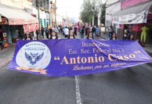 RECORRE GUELAGUETZA AVENIDA INSURGENTES DE LA HEROICA