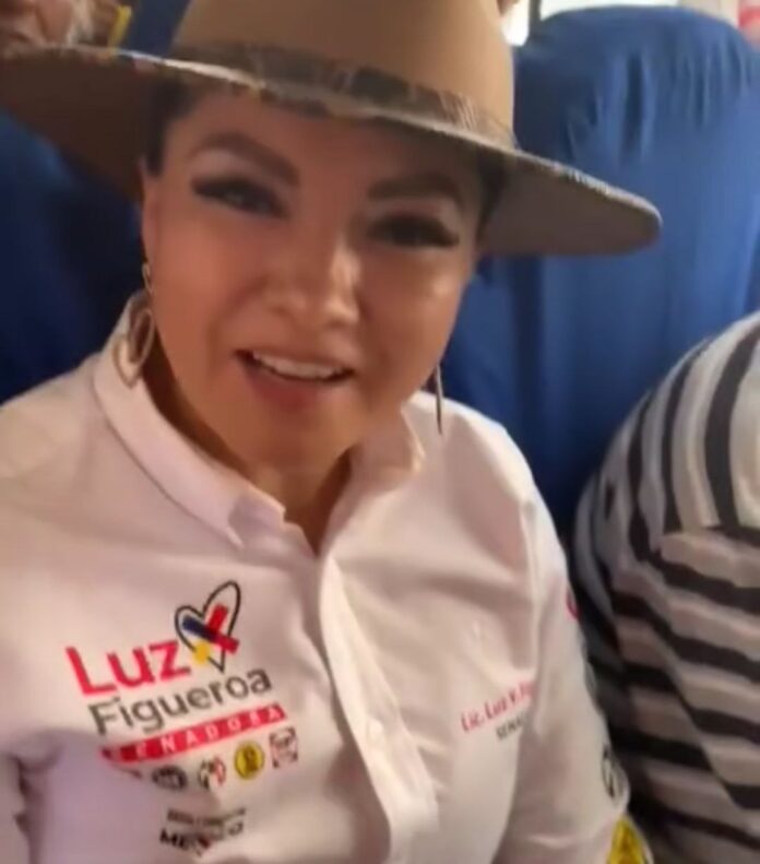 LUZ FIGUEROA SE POSICIONA COMO LA FAVORITA AL SENADO EN LA OPINIÓN DE LOS MORELENSES
