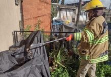 ¡BOMBEROS AL RESCATE!