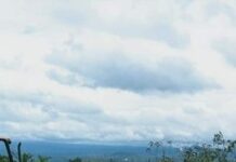 LIMPIEZA DE RESIDUOS EN LA PLAZA COMERCIAL MOR-MEX