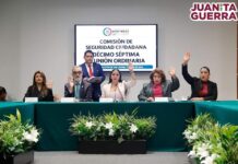 DÉCIMA SÉPTIMA REUNIÓN ORDINARIA DE LA COMISIÓN DE SEGURIDAD CIUDADANA