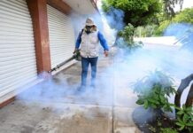CUAUTLA MANTIENE ACCIONES PARA EVITAR LA PROPAGACIÓN DEL DENGUE