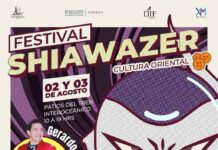 FESTIVAL SHIAWAZER – CULTURA ORIENTAL