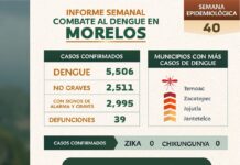 EXHORTAN A GRUPOS VULNERABLES EXTREMAR MEDIDAS CONTRA EL DENGUE