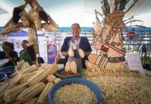 DOTAR DE ESTÍMULOS ECONÓMICOS A LOS CAMPESINOS QUE SIEMBREN MAÍCES CRIOLLOS EN MORELOS