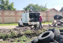 GOBIERNO DE CUAUTLA Y MORELOS CONTINÚAN CON ACCIONES PREVENTIVAS PARA EVITAR LA PROPAGACIÓN DEL DENGUE