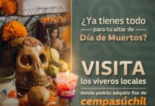 INVITA SEDAGRO A VISITAR VIVEROS Y MERCADOS MUNICIPALES PARA ADQUIRIR FLOR DE CEMPASÚCHIL