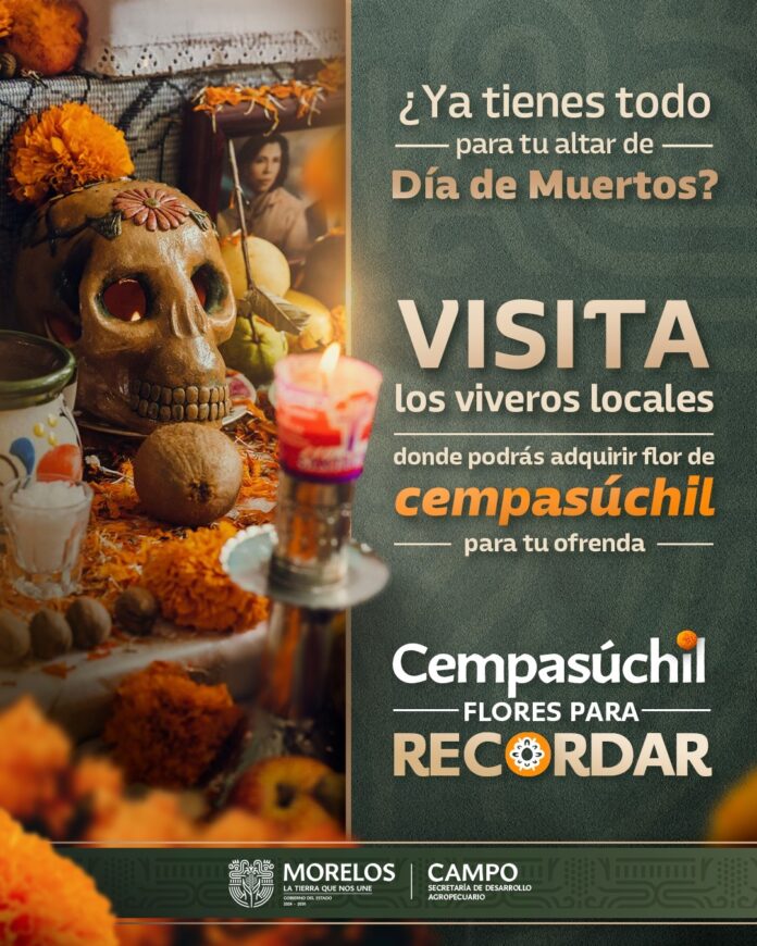 INVITA SEDAGRO A VISITAR VIVEROS Y MERCADOS MUNICIPALES PARA ADQUIRIR FLOR DE CEMPASÚCHIL