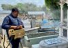 Fumigación en panteones para día de Muertos
