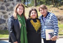 Estrategias para combatir la tala clandestina