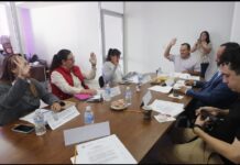 Premio Estatal para Personas con Discapacidad “Gabriela Raquel Brimmer Dlugacz” edición 2024