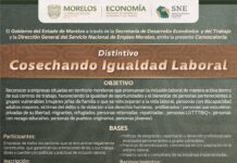 Emite Servicio Nacional del Empleo convocatoria al distintivo “Cosechando Igualdad Laboral”