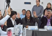 LEYES DE INGRESO MUNICIPALES 2025 SIN INCREMENTOS: DIP JAZMÍN SOLANO LÓPEZ