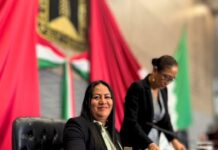 URGENTE DISMINUIR ROBO DE VEHÍCULOS AUTOMOTORES EN MORELOS: DIP. JAZMÍN SOLANO