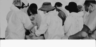 PARTICIPAN SIETE CANDIDATOS POR 23 COMITÉS O PARTICULARES EN CONSULTA PÚBLICA PARA EL NOMBRAMIENTO DEL TITULAR DE LA COMISIÓN DE BÚSQUEDA DE PERSONAS DEL ESTADO DE MORELOS