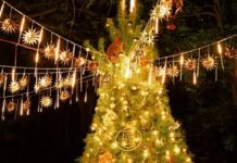 SE AMPLÍA HORARIO EN PARQUE CHAPULTEPEC DURANTE ESTAS FIESTAS DECEMBRINAS