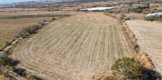 AVANZA SECRETARÍA DE EDUCACIÓN CON GESTIONES PARA LA CONSTRUCCIÓN DE LA UNIVERSIDAD INTERCULTURAL