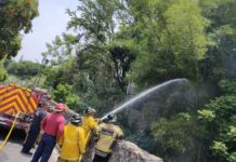 Atiende Bomberos Cuautla Incendio de Cobertura Vegetal en la Colonia Otilio Montaño