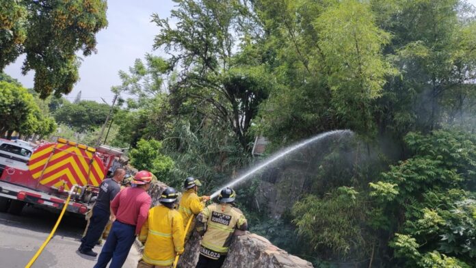 Atiende Bomberos Cuautla Incendio de Cobertura Vegetal en la Colonia Otilio Montaño