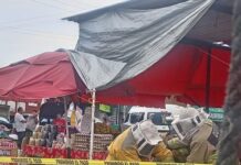 Bomberos de Cuautla Atienden Retiro y Reubicación Segura de Enjambre de Abejas en la Plaza Solidaridad