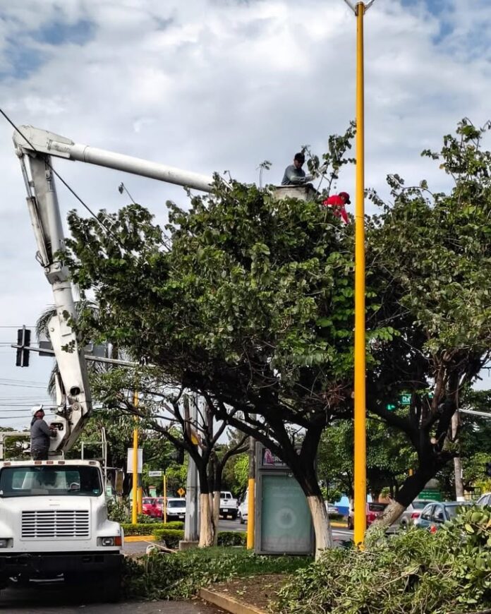 Refuerza Gobierno de Cuautla Acciones de Limpieza, Poda y Mejoramiento Urbano en el Municipio