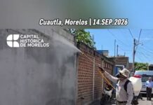 Atiende Ayuntamiento de Cuautla Reporte Ciudadano por Infestación de Pulgas y Garrapatas