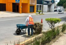 Refuerza Cuautla Labores de Limpieza en la Avenida Reforma