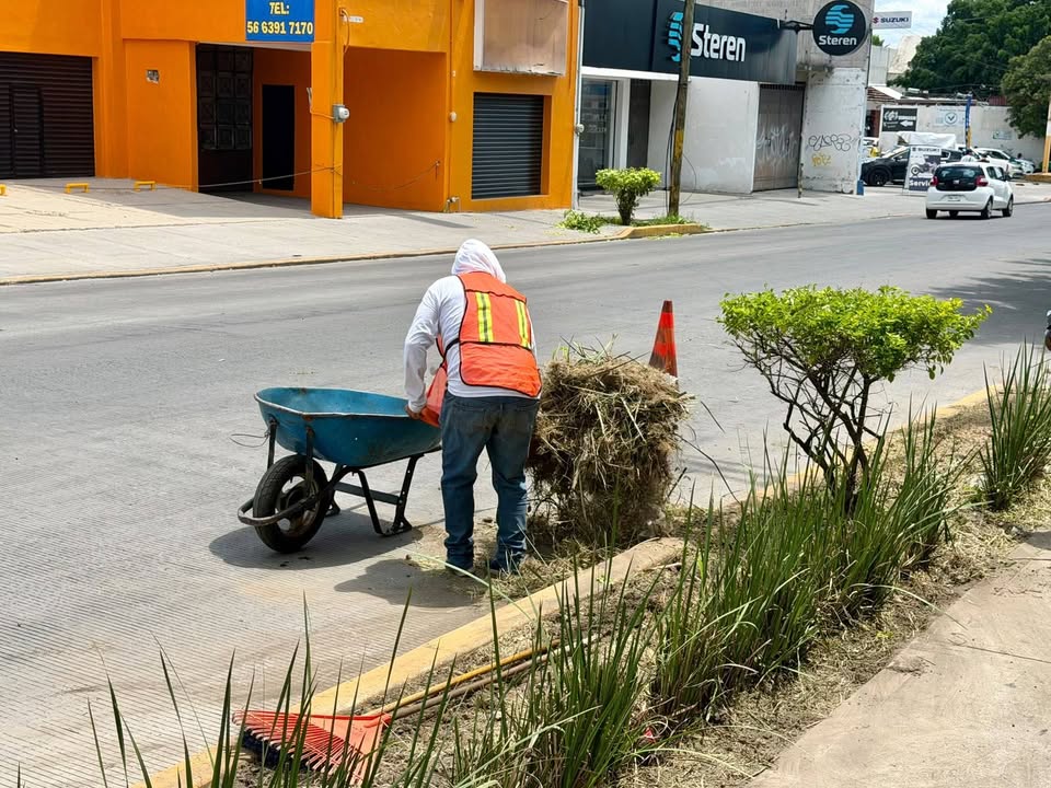 Refuerza Cuautla Labores de Limpieza en la Avenida Reforma