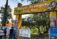 Comunidad Segura Fortalece la Organización Vecinal en Santa Rosa