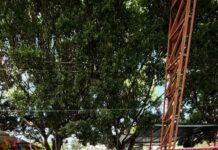 Promueve Gobierno de Morelos el Cuidado del Agua Entre Familias de Cuautla
