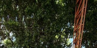 Promueve Gobierno de Morelos el Cuidado del Agua Entre Familias de Cuautla