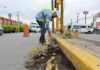 Continúan Trabajos de Limpia en la Carretera México-cuautla