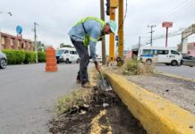 Continúan Trabajos de Limpia en la Carretera México-cuautla