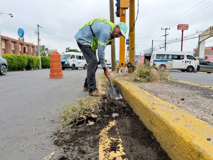 Continúan Trabajos de Limpia en la Carretera México-cuautla
