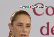«Ley Anti Memes» Sheinbaum Aclara: “No Hay Sanción a Memes”, la Reforma Busca Castigar Fraudes con Imagen del Gobierno