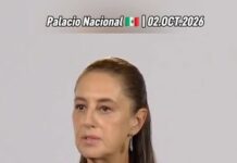 Prepara Decreto para Retirar de Redes Sociales, Contenidos Violentos, Abuso y Acoso