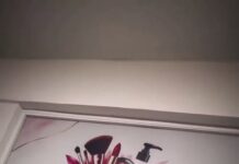 Cosmetología Ubr, Smdif Ayala
