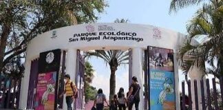 Gerardo Abarca Peña Da Seguimiento a la Recuperación del Parque San Miguel Acapantzingo