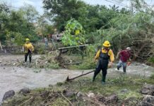Mantiene Gobierno de Morelos Apoyo y Atención a Familias Afectadas por Lluvias en Tepalcingo