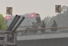 2 Policías Fallecen y 3 Lesionados Tras Accidente en la Autopista la Pera-cuautla