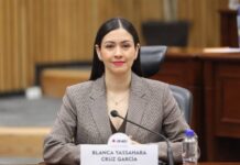 Blanca Yassahara Cruz García Asume Presidencia Provisional del INE Tras Renuncia de Guadalupe Taddei