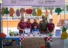 Reconoce Sedif a Planteles Ganadores del Concurso Gastronómico “Sabores que Transforman” 2026