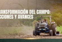 Fortalece Morelos su Campo con Inversiones Millonarias, 770 Kilómetros de Caminos Rurales y Mayor Presencia Exportadora