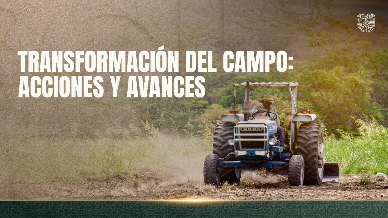 Fortalece Morelos su Campo con Inversiones Millonarias, 770 Kilómetros de Caminos Rurales y Mayor Presencia Exportadora