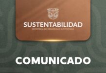 Interviene Propaem ante Video de Docente que Empujó a un Michi por la Ventana en la UAEM; Ya Hay Denuncia ante la FGE