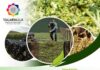 Invitan a Productores de Limones al Taller “Elaboración de Ensilaje con el Método Trinchera” en Yecapixtla